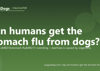 Can humans get the stomach flu from dogs? - PuppaDogs FAQ