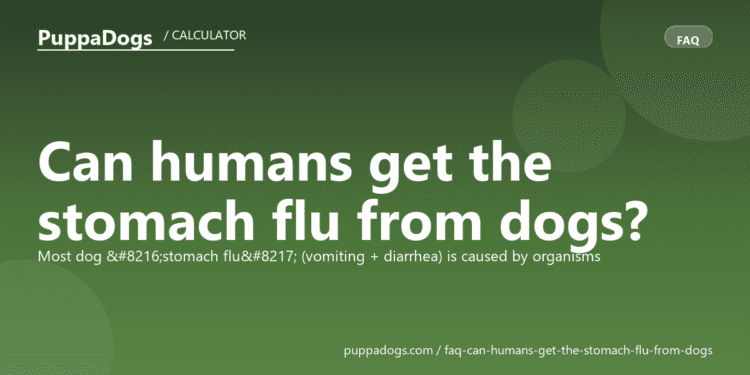 Can humans get the stomach flu from dogs? - PuppaDogs FAQ