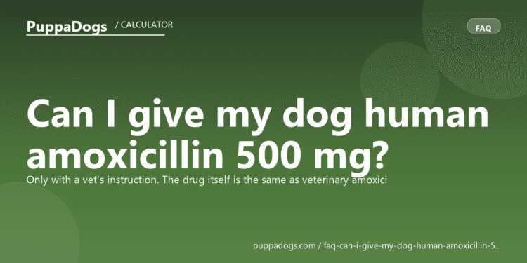 Can I give my dog human amoxicillin 500 mg? - PuppaDogs FAQ