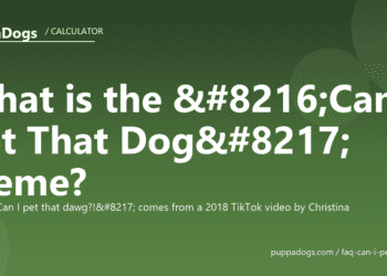 What is the ‘Can I Pet That Dog’ meme? - PuppaDogs FAQ