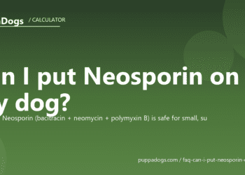Can I put Neosporin on my dog? - PuppaDogs FAQ
