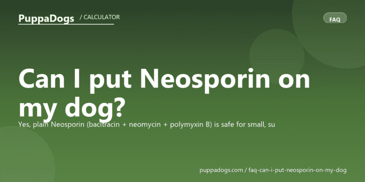 Can I put Neosporin on my dog? - PuppaDogs FAQ