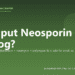 Can I put Neosporin on my dog? - PuppaDogs FAQ