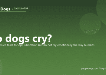 Do dogs cry? - PuppaDogs FAQ