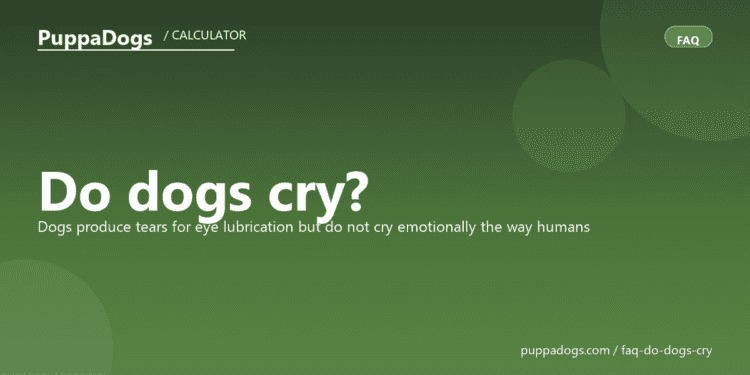 Do dogs cry? - PuppaDogs FAQ
