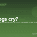 Do dogs cry? - PuppaDogs FAQ