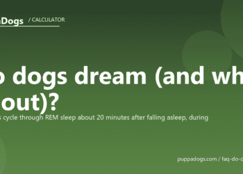 Do dogs dream (and what about)? - PuppaDogs FAQ
