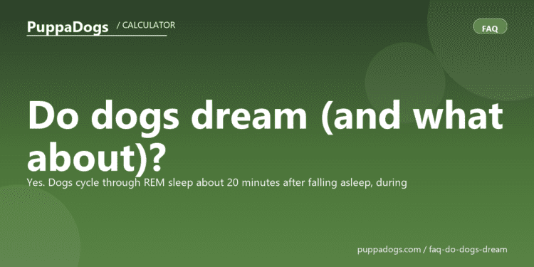 Do dogs dream (and what about)? - PuppaDogs FAQ