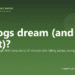 Do dogs dream (and what about)? - PuppaDogs FAQ