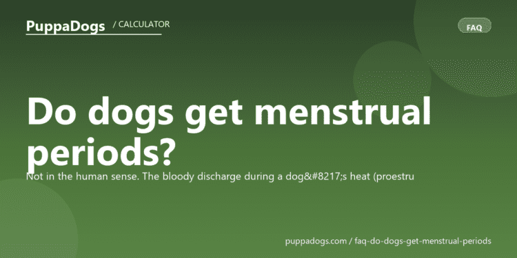 Do dogs get menstrual periods? - PuppaDogs FAQ