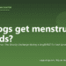 Do dogs get menstrual periods? - PuppaDogs FAQ