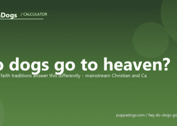 Do dogs go to heaven? - PuppaDogs FAQ