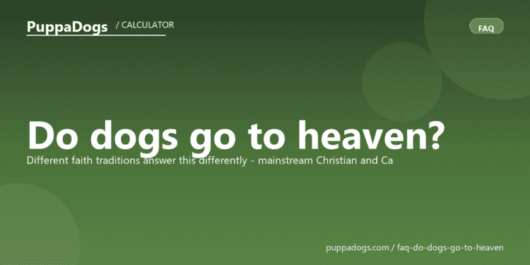 Do dogs go to heaven? - PuppaDogs FAQ
