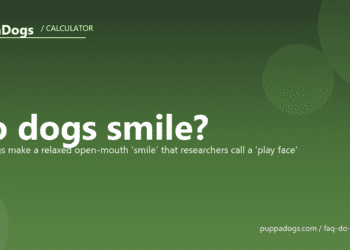 Do dogs smile? - PuppaDogs FAQ