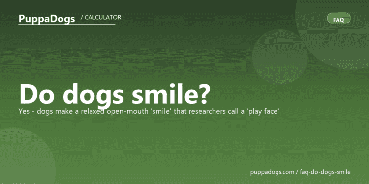 Do dogs smile? - PuppaDogs FAQ