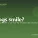 Do dogs smile? - PuppaDogs FAQ