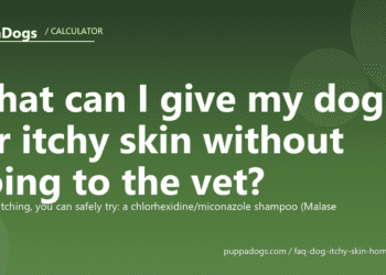 What can I give my dog for itchy skin without going to the vet? - PuppaDogs FAQ