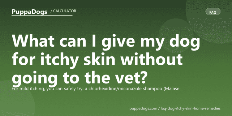 What can I give my dog for itchy skin without going to the vet? - PuppaDogs FAQ