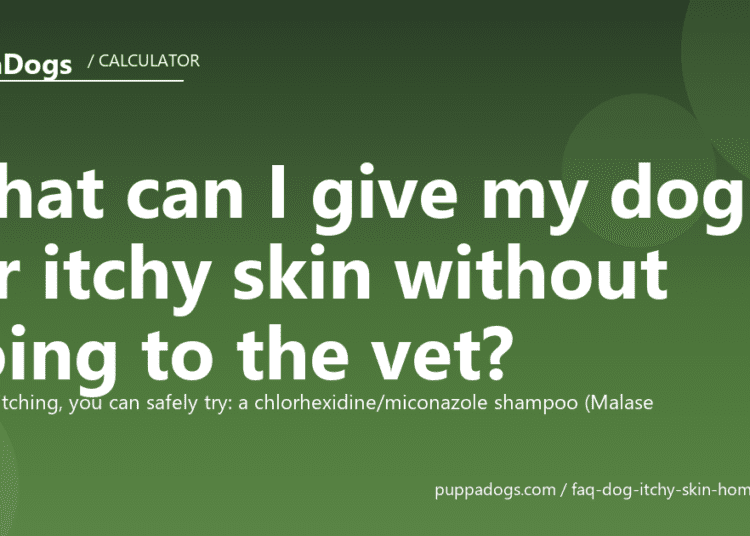 What can I give my dog for itchy skin without going to the vet? - PuppaDogs FAQ