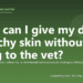 What can I give my dog for itchy skin without going to the vet? - PuppaDogs FAQ