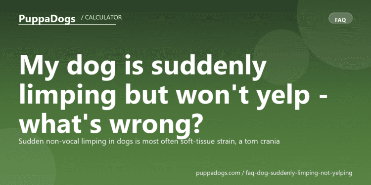 My dog is suddenly limping but won't yelp - what's wrong? - PuppaDogs FAQ