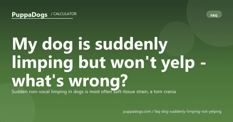 My dog is suddenly limping but won't yelp - what's wrong? - PuppaDogs FAQ