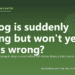 My dog is suddenly limping but won't yelp - what's wrong? - PuppaDogs FAQ