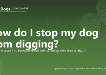 How do I stop my dog from digging? - PuppaDogs FAQ