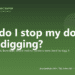 How do I stop my dog from digging? - PuppaDogs FAQ