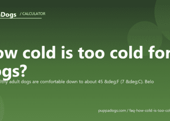 How cold is too cold for dogs? - PuppaDogs FAQ