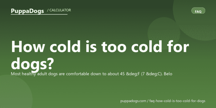 How cold is too cold for dogs? - PuppaDogs FAQ