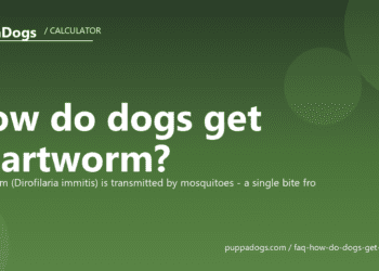How do dogs get heartworm? - PuppaDogs FAQ