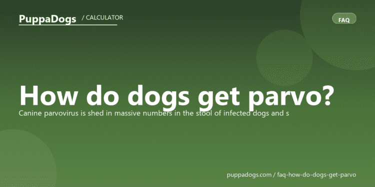 How do dogs get parvo? - PuppaDogs FAQ