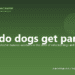 How do dogs get parvo? - PuppaDogs FAQ