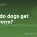 How do dogs get ringworm? - PuppaDogs FAQ