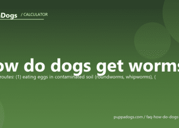 How do dogs get worms? - PuppaDogs FAQ