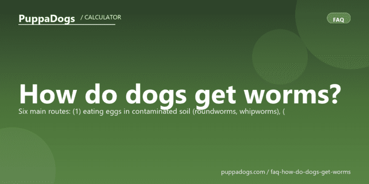 How do dogs get worms? - PuppaDogs FAQ