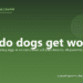 How do dogs get worms? - PuppaDogs FAQ