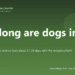 How long are dogs in heat? - PuppaDogs FAQ