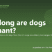 How long are dogs pregnant? - PuppaDogs FAQ