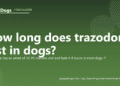 How long does trazodone last in dogs? - PuppaDogs FAQ