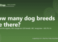 How many dog breeds are there? - PuppaDogs FAQ