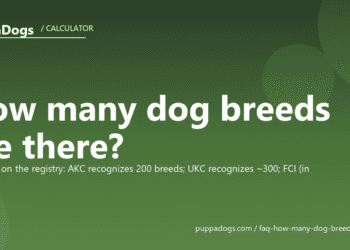 How many dog breeds are there? - PuppaDogs FAQ