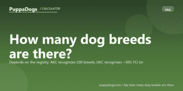 How many dog breeds are there? - PuppaDogs FAQ