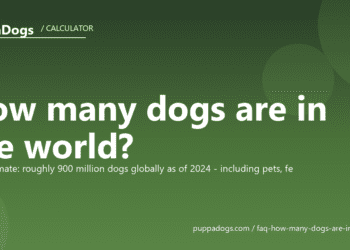 How many dogs are in the world? - PuppaDogs FAQ