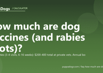 How much are dog vaccines (and rabies shots)? - PuppaDogs FAQ