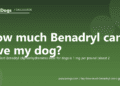 How much Benadryl can I give my dog? - PuppaDogs FAQ