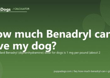 How much Benadryl can I give my dog? - PuppaDogs FAQ