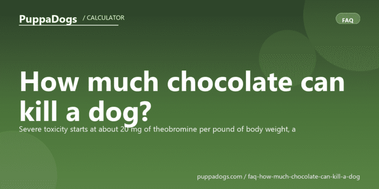 How much chocolate can kill a dog? - PuppaDogs FAQ