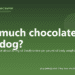 How much chocolate can kill a dog? - PuppaDogs FAQ